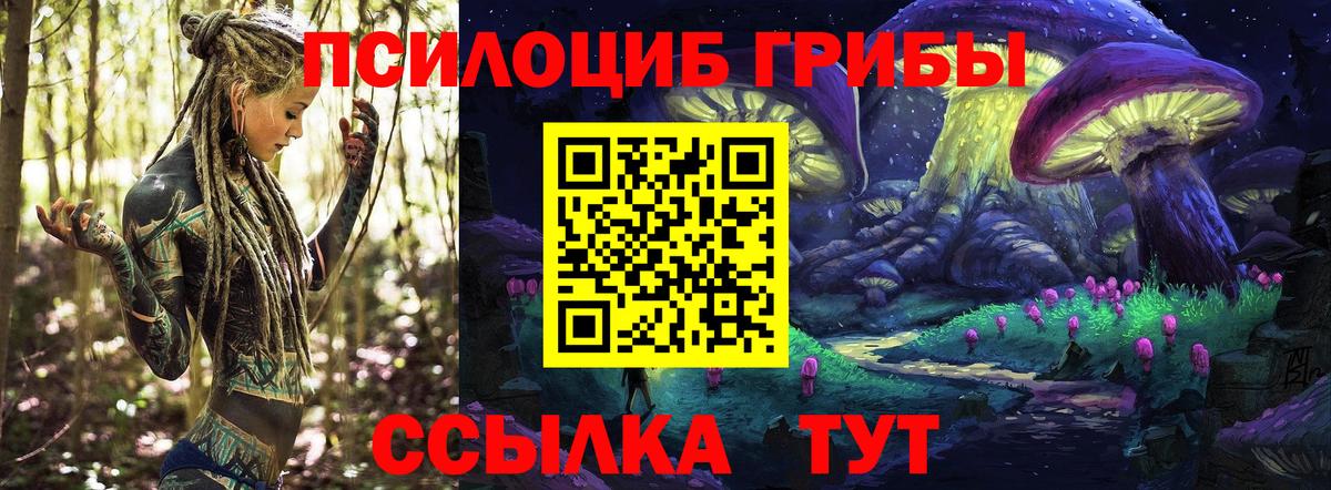 Галлюциногенные грибы Psilocybine cubensis  Галлюциногенные грибы ЛСД  Кизляр  Вход с VPN 